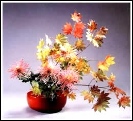 Arranjo "Moribana"