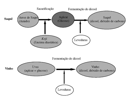 Saquê - Mundo Educação