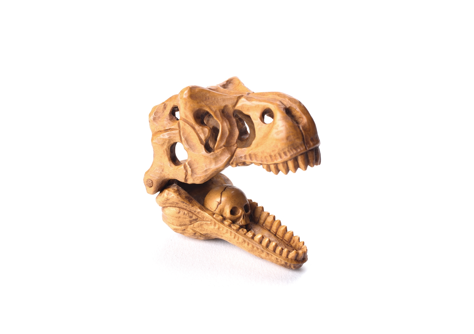Bokusen Takagi Skull, 2014