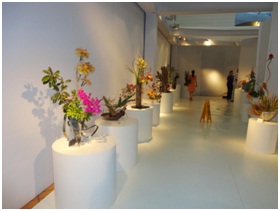 Exposição de Ikebana